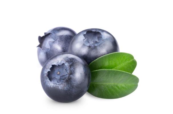 一般新鲜的蓝莓可以放几天,买来的蓝莓可以放几天