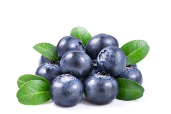 蓝莓有什么营养,蓝莓的营养价值和功效和作用 蓝莓有什么营养,蓝莓的营养价值和功效和作用
