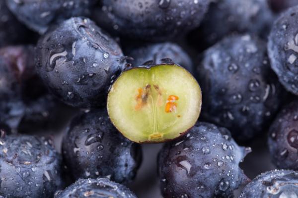 蓝莓是什么样子的,蓝莓什么牌子的好吃