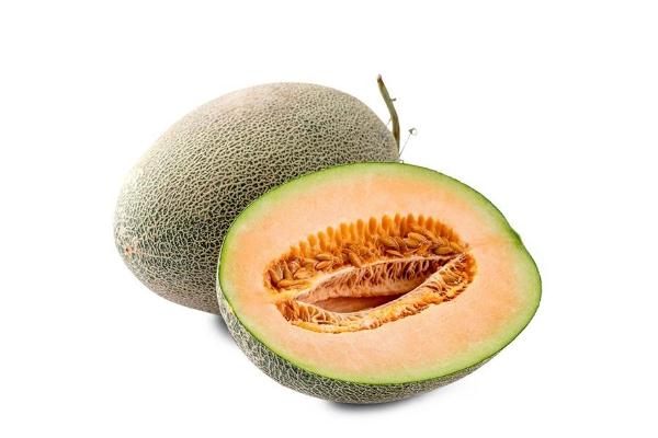 哈密瓜可以多吃吗?,哈密瓜和什么同吃 哈密瓜可以多吃吗?,哈密瓜和什么同吃