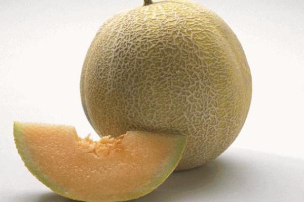 哈密瓜的皮可以吃吗,哈密瓜的内皮能不能吃