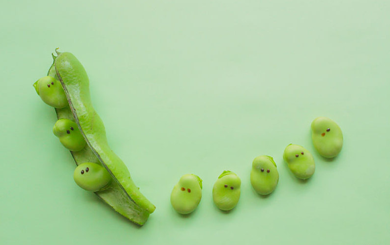 蚕豆的营养价值及功效,含蚕豆的食品有哪些