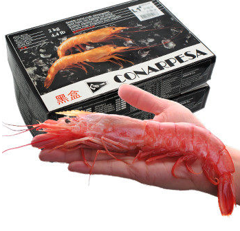 白灼阿根廷红虾要煮多久,阿根廷红虾难吃