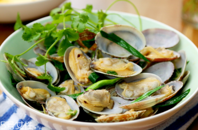凉拌文蛤的做法大全,文蛤的做法最好吃