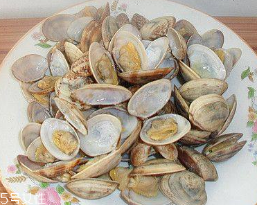 文蛤的营养价值及功效和作用,文蛤的营养价值