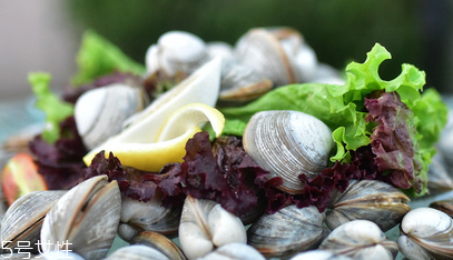 感冒能不能吃蛤蜊,感冒咳嗽可以吃花蛤吗