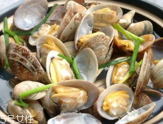 文蛤的生态特征,文蛤属于什么动物 文蛤的生态特征,文蛤属于什么动物