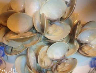 文蛤哪里不能吃,文蛤怎么吃