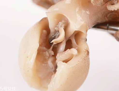 章鱼什么样子,章鱼怎么做好吃 章鱼什么样子,章鱼怎么做好吃