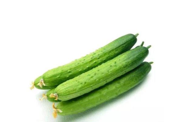 黄瓜是什么季节的应季菜,黄瓜应季时间 黄瓜是什么季节的应季菜,黄瓜应季时间