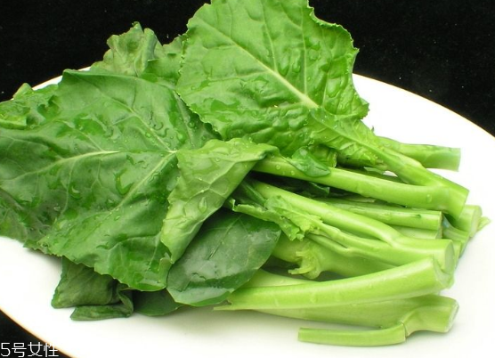 芥兰是什么菜,芥兰是什么季节的菜