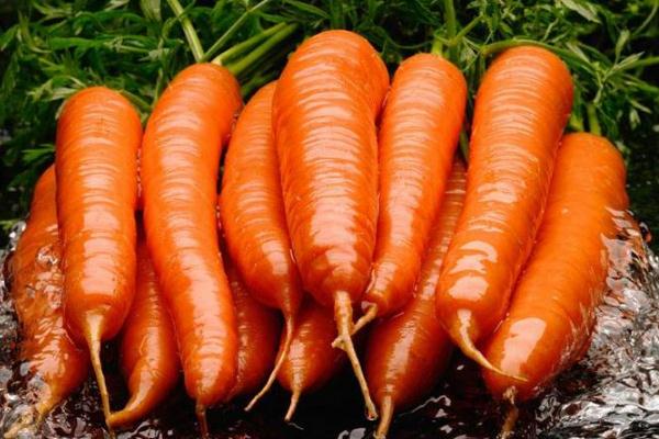 宝宝辅食胡萝卜要焯水吗,饺子馅里的胡萝卜要焯水吗 宝宝辅食胡萝卜要焯水吗,饺子馅里的胡萝卜要焯水吗