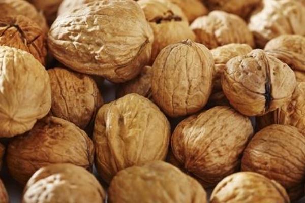 核桃有几种品种,核桃哪里产的品质最好