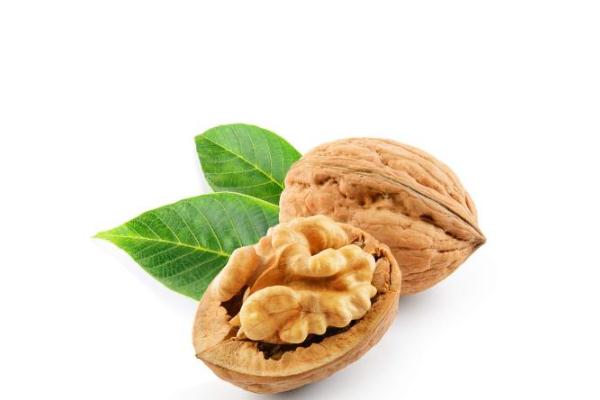 核桃壳有什么作用和功效,常吃核桃的好处 核桃壳有什么作用和功效,常吃核桃的好处