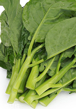 芥兰能减肥吗,芥兰减肥可以吃吗