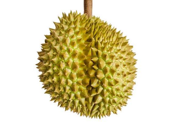 榴莲吃了会长胖吗?,榴莲吃了会长胖吗空腹可以吃榴莲吗 榴莲吃了会长胖吗?,榴莲吃了会长胖吗空腹可以吃榴莲吗