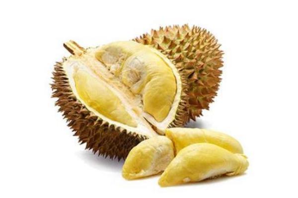 榴莲壳的功效,雪莲果的功效和作用及禁忌