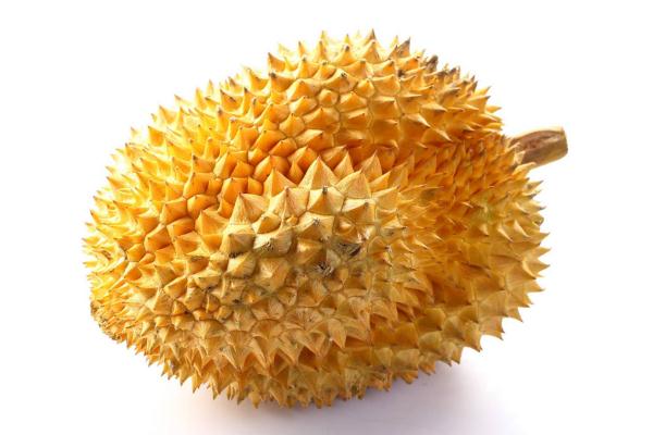 榴莲是什么样子的,榴莲是什么季节吃