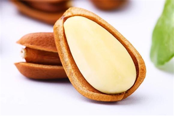 松子怎么辨别好坏,松子如何挑选