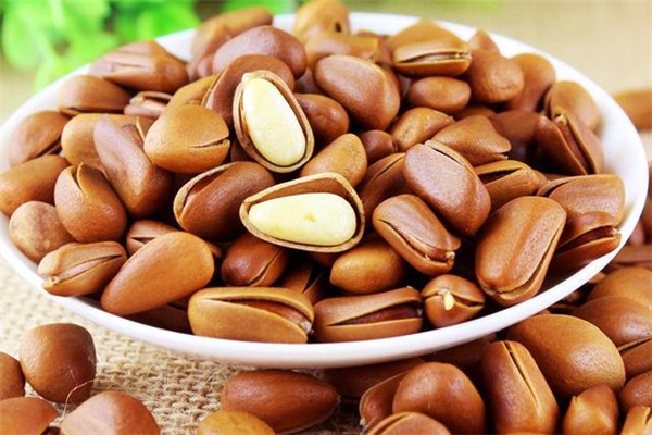 松子发苦是什么原因,为什么有些松子是苦的