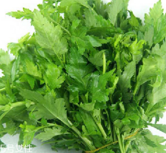 菊花脑的味道,菊花是什么味道的?