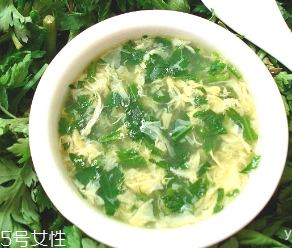 菊花脑不能和什么一起吃,菊花脑不能和什么同吃