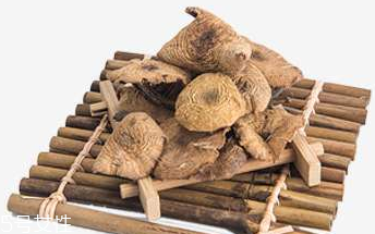 干榛蘑怎么保存最好,干榛蘑怎么保存不生虫