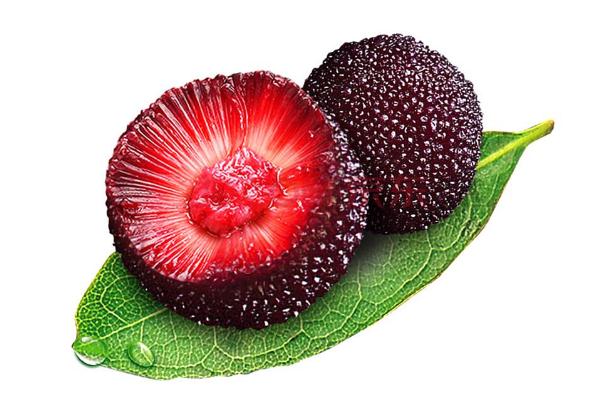 杨梅如何清洗干净,杨梅如何清洗才干净