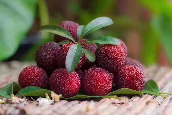 吃杨梅要不要吐核,吞了杨梅核会怎样