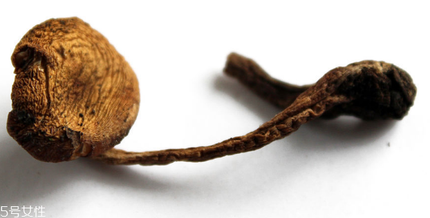 榛蘑最佳食用方法,榛蘑的功效