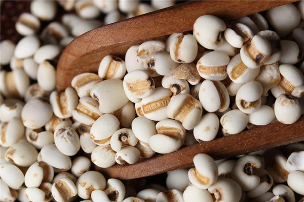 赤小豆和薏米可以打成豆浆喝吗,薏米可以打成豆浆喝吗 ?