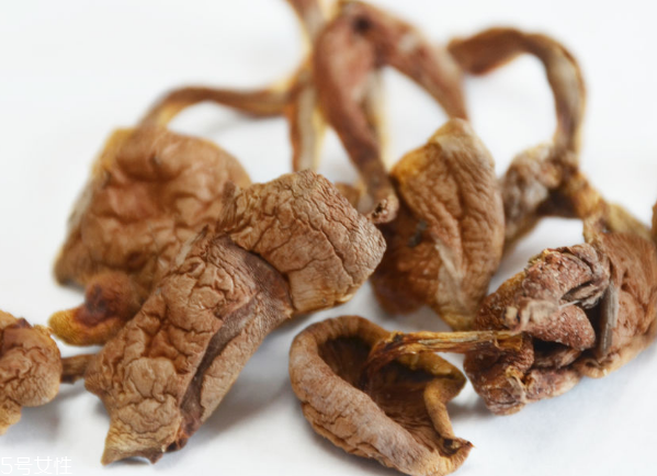 榛蘑禁忌什么一起吃,榛蘑不能和什么一起吃 榛蘑的搭配禁忌