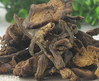 榛蘑的功效,榛蘑的功效和作用及食用方法