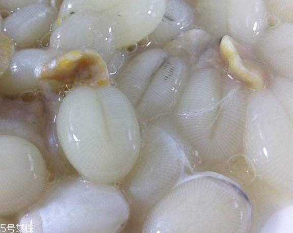 墨鱼蛋好吃吗,墨鱼蛋是啥