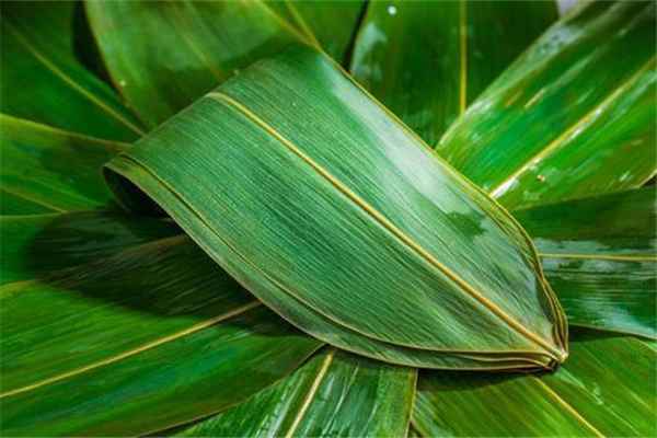 粽子叶有味道怎么办,粽叶有霉味怎么处理