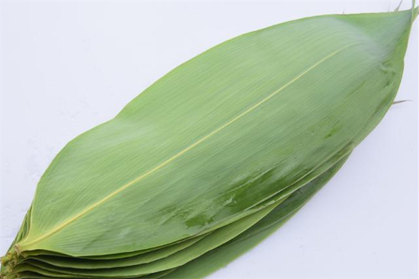 粽子叶在哪里买,北方包粽子用什么叶子