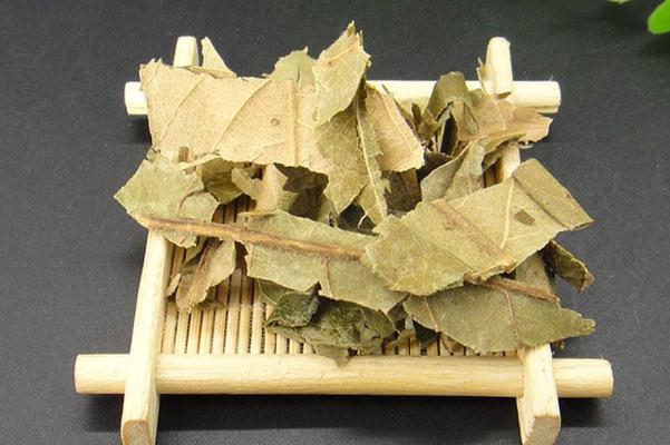 枇杷叶的食用方法,枇杷叶怎么吃