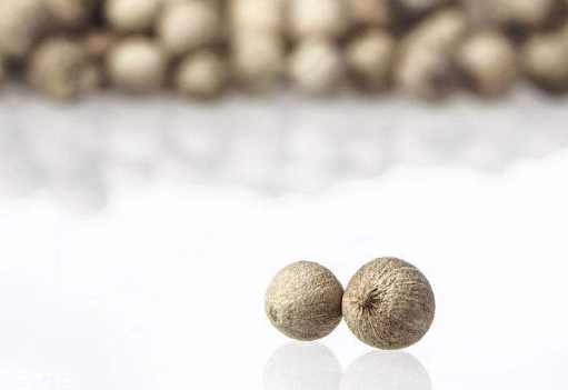 白胡椒的种植方法,胡椒种植条件及种植方法介绍