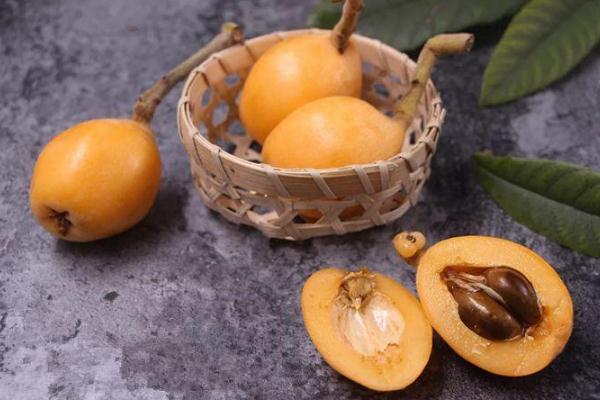 枇杷核的药用价值,枇杷核的作用 枇杷核的药用价值,枇杷核的作用