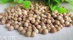 白胡椒是中药吗,中药白胡是白胡椒吗