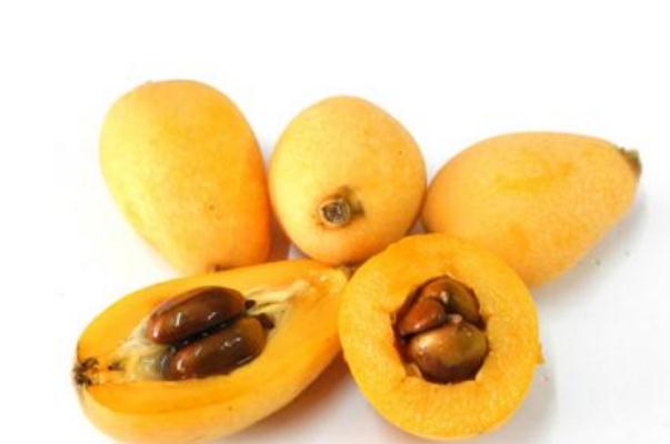 枇杷有几个果核,枇杷是核果吗