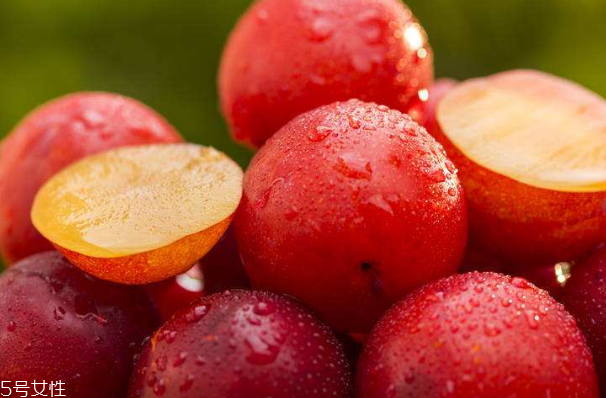 发物是什么意思啊,发物是什么食物