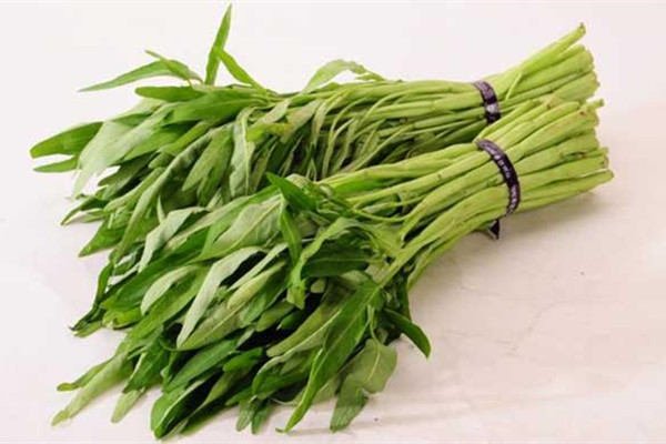 空心菜怎么摘菜图解,空心菜怎么摘菜视频 空心菜怎么摘菜图解,空心菜怎么摘菜视频