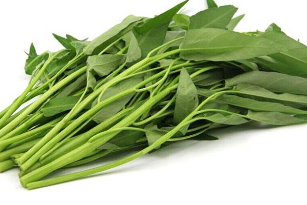 空心菜食用禁忌,空心菜吃法
