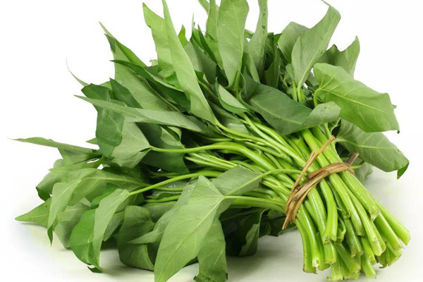 空心菜上市时间,空心菜几月份上市