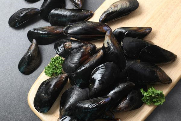 海虹是青口贝吗,海虹和青口贝有什么区别