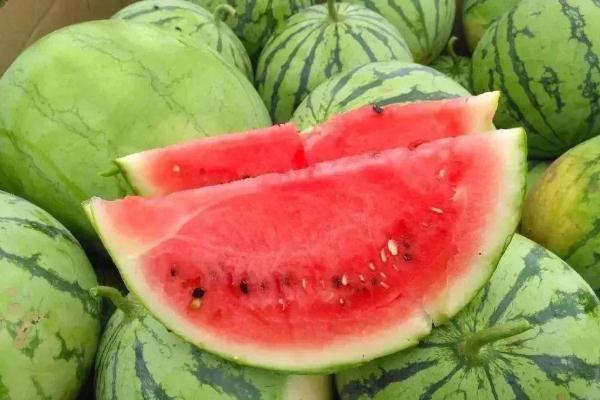 西瓜的品种有哪些,西瓜有多少种品种