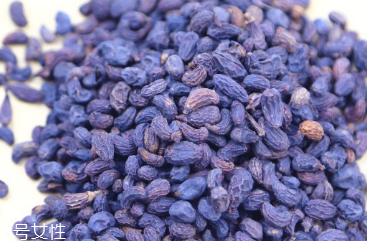 女贞子的功效和作用和主治,女贞子的功效和作用 女贞子的功效和作用和主治,女贞子的功效和作用