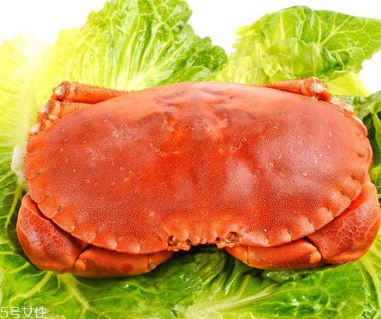 面包蟹几月份最肥,面包蟹什么时候最肥