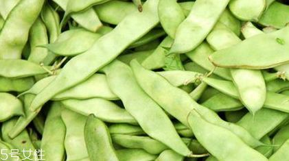 芸豆是豆角吗,豆角和芸豆的区别图片 芸豆是豆角吗,豆角和芸豆的区别图片